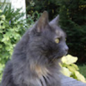 Meet your Posher, Mae